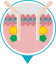 Diagrama